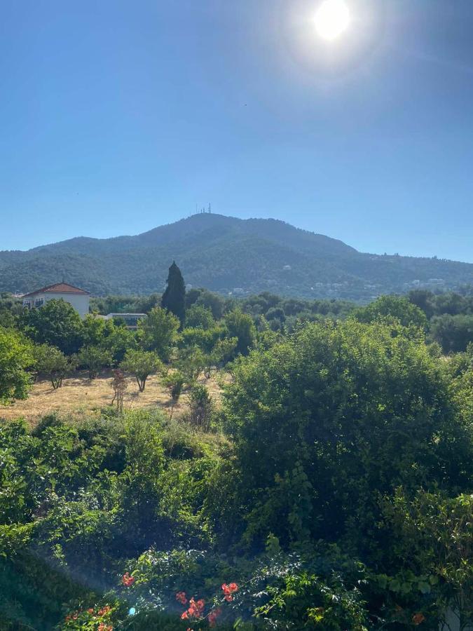 Filoxenia Apartments Μυτιλήνη Εξωτερικό φωτογραφία