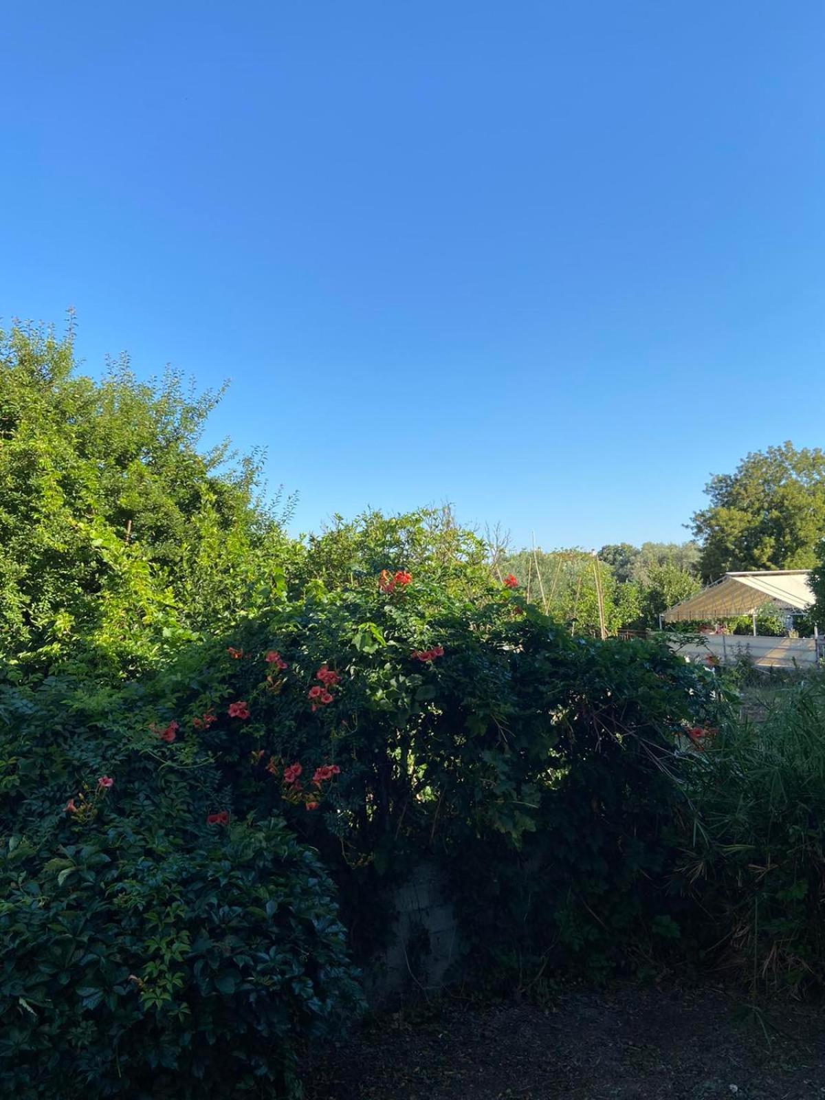 Filoxenia Apartments Μυτιλήνη Εξωτερικό φωτογραφία